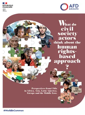 perspectives cso afd